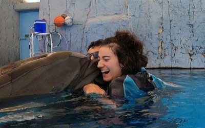 Therapie dauphins
